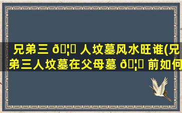 兄弟三 🦈 人坟墓风水旺谁(兄弟三人坟墓在父母墓 🦁 前如何排列)